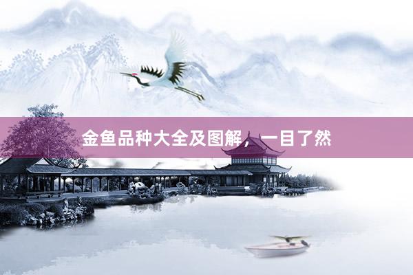 金鱼品种大全及图解，一目了然